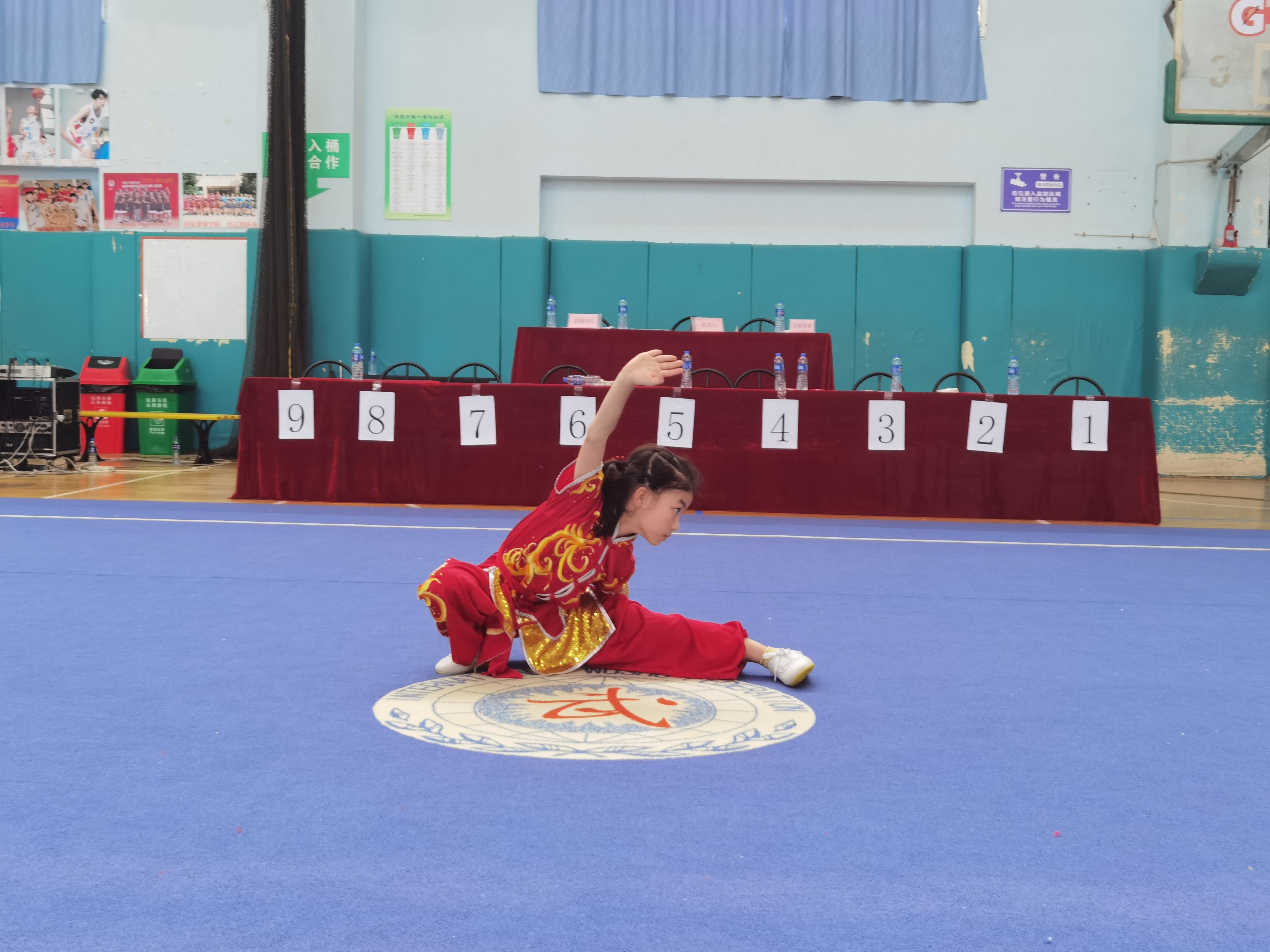 碑林区代表队在西安市青少年武术锦标赛喜获佳绩